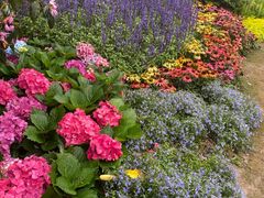 -梧桐山风景名胜区