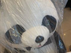 -眉州东坡(亚运村店)