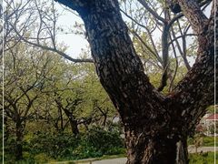 -名花谷生态庄园