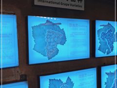 -青岛葡萄酒博物馆