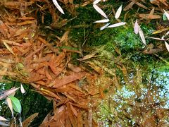 -三江森林温泉度假区