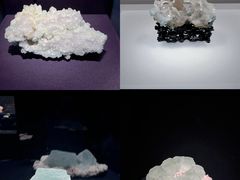 -山东博物馆