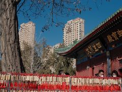 -天津大悲禅院