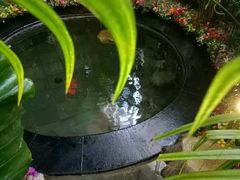-东方华地城湿地温泉度假区