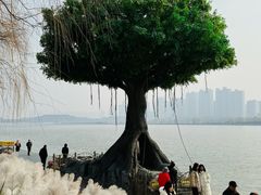 -咸阳湖景区