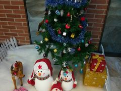 -一兆韦德健身(慧芝湖店)