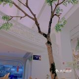 广州沙面最美花园式轻食餐厅“本我”