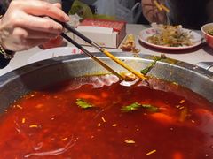 -蜀滋香鲜鱼美蛙火锅(339店)