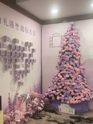 -东森自然美.INDIBA.美容SPA.皮肤管理
