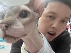 -安安宠医·臻爱宠物医院·宠保定点(营门口路分院)