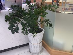 -靓芙泉专研痘痘肌