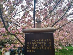 -西安青龙寺遗址景区