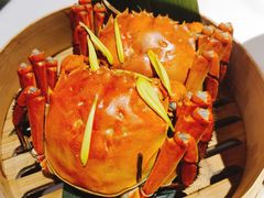 大闸蟹-蟹榭(静安寺晶品商场店)