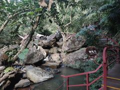 -呀诺达热带雨林