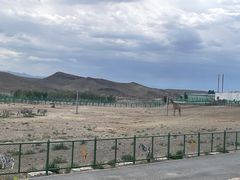 -新疆天山野生动物园