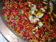 -雲蜀龙阁·金牌水煮鱼(方庄店)