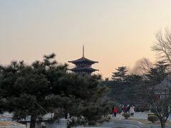 -北京世界公园