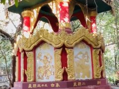 -瑞丽独树成林风景区