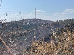 -北京西山国家森林公园