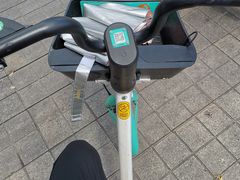 -松树干拌面店