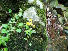 -宁波五龙潭景区