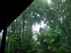 android_upload_pic-望江楼公园