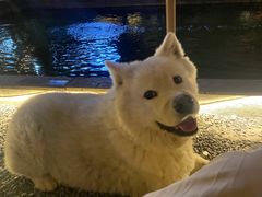 -DGE季风钓虾营地·团建·聚会