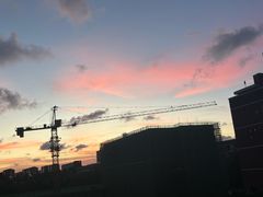 -山东外贸职业学院