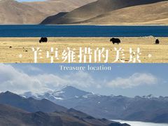 -羊卓雍措