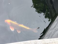 -西安市广仁寺
