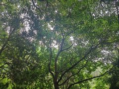 -北京十三陵国家森林公园蟒山景区