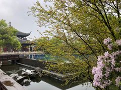 -杭州西子湖四季酒店·金沙厅