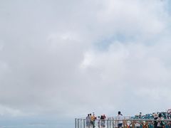 -亚龙湾热带天堂森林公园
