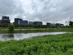 -春花秋色城市公园