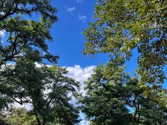 -北京西山国家森林公园