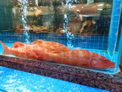 -海味世家·家常菜馆(明州里店)