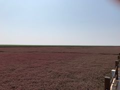 -红海滩国家风景廊道