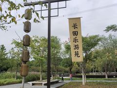 -长田漾湿地公园