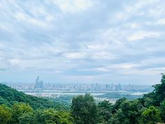 -岳麓山风景名胜区