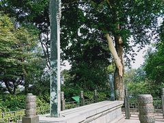 -紫金山天文台
