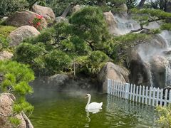 -罗红摄影艺术馆