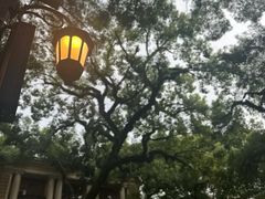 -火车头法国西餐厅