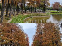 -四海公园(南山区)