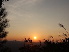 -重庆睡佛山森林公园