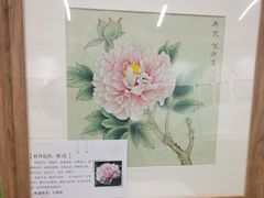 -曹州牡丹园