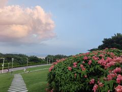 -深圳湾公园(南山区)
