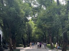-东湖落雁景区