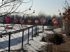 -兴芮温泉度假区