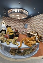点击看大图 -奈尔宝家庭中心·亲子餐厅(北京东坝万达店)