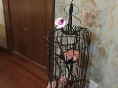 -燕庭·纯燕窝·甜品下午茶(南京西路店)
